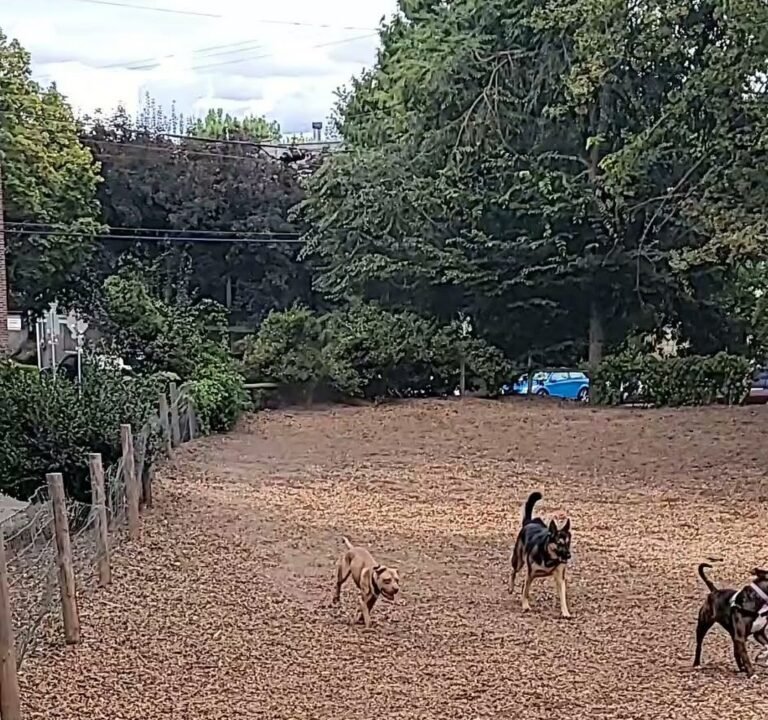 Soccer Field image 4