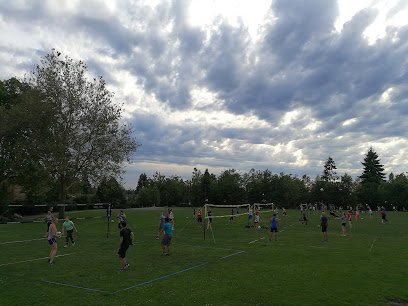 Soccer Field image 1