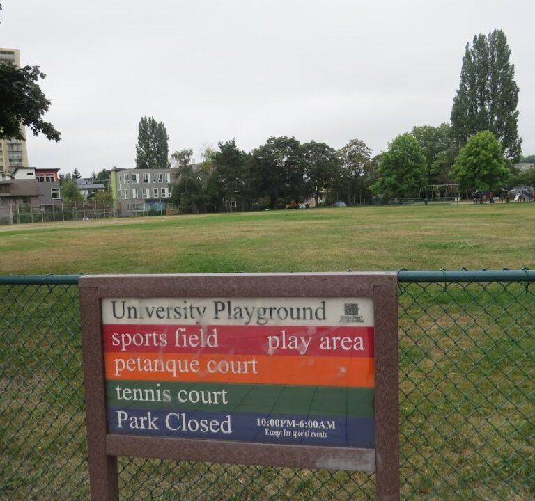 Soccer Field image 3