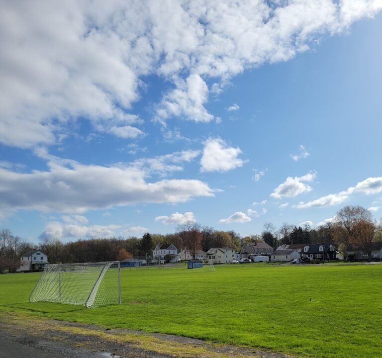 Soccer Field image 2