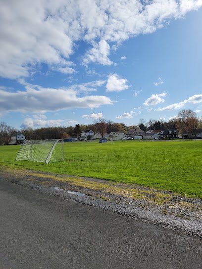 Soccer Field image 1