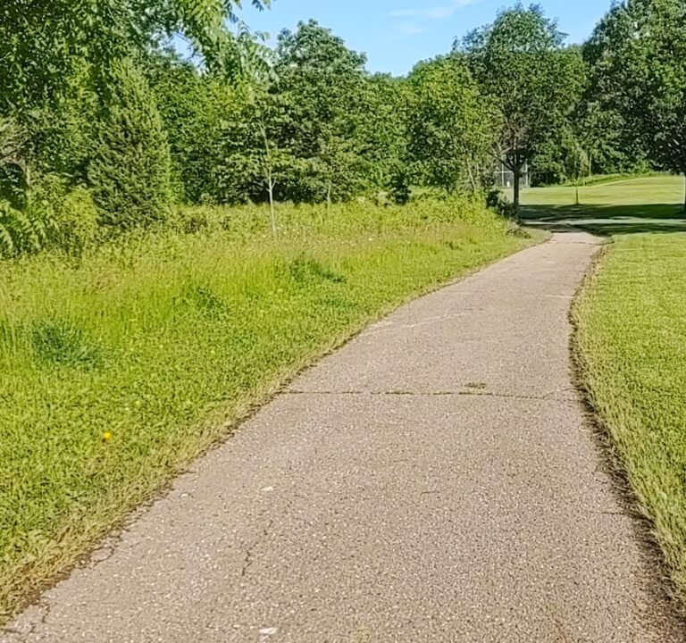 Soccer Field image 4