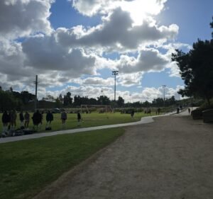 Soccer Field image 3