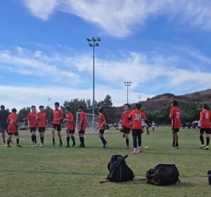 Soccer Field image 4