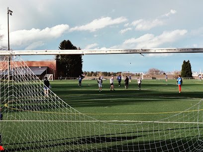 Soccer Field image 1