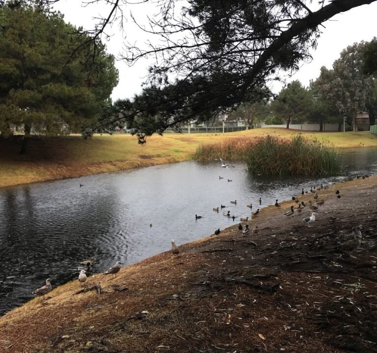 Soccer Field image 2