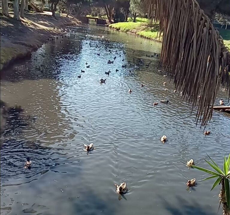 Soccer Field image 4