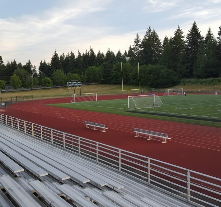 Soccer Field image 2