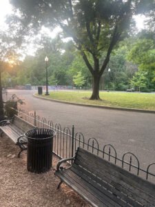Soccer Field image 1