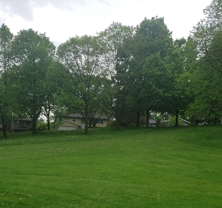 Soccer Field image 3