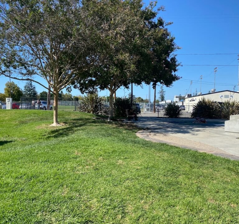 Soccer Field image 2