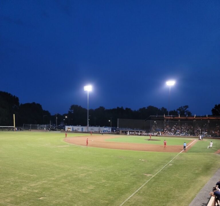 Soccer Field image 2