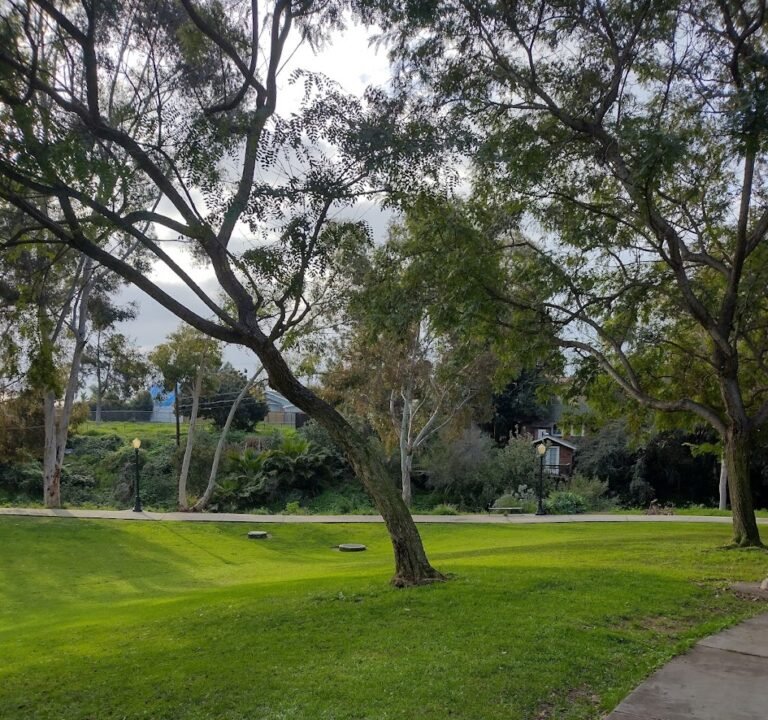 Soccer Field image 2