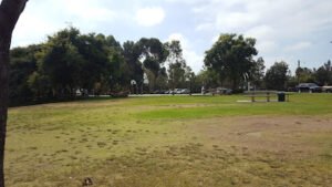 Soccer Field image 1