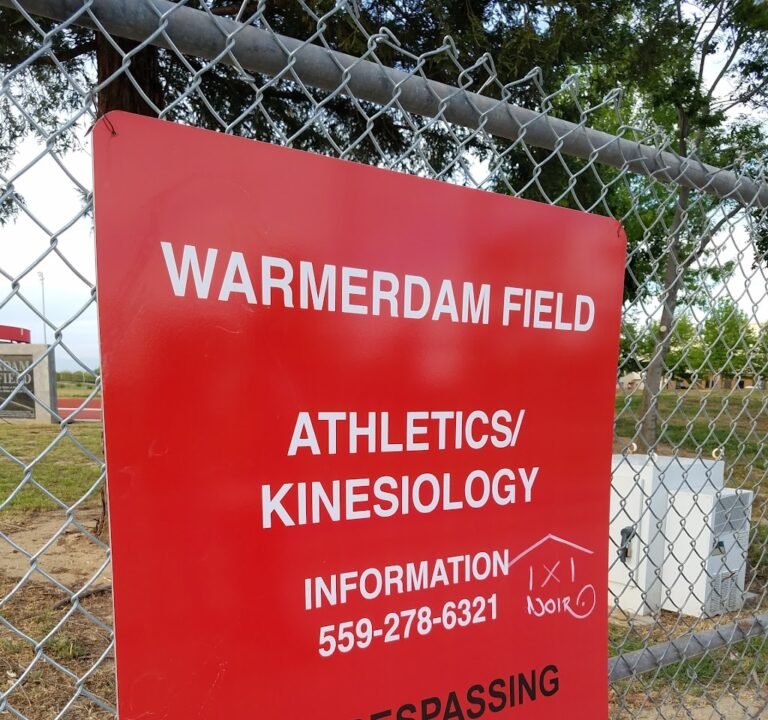 Soccer Field image 2