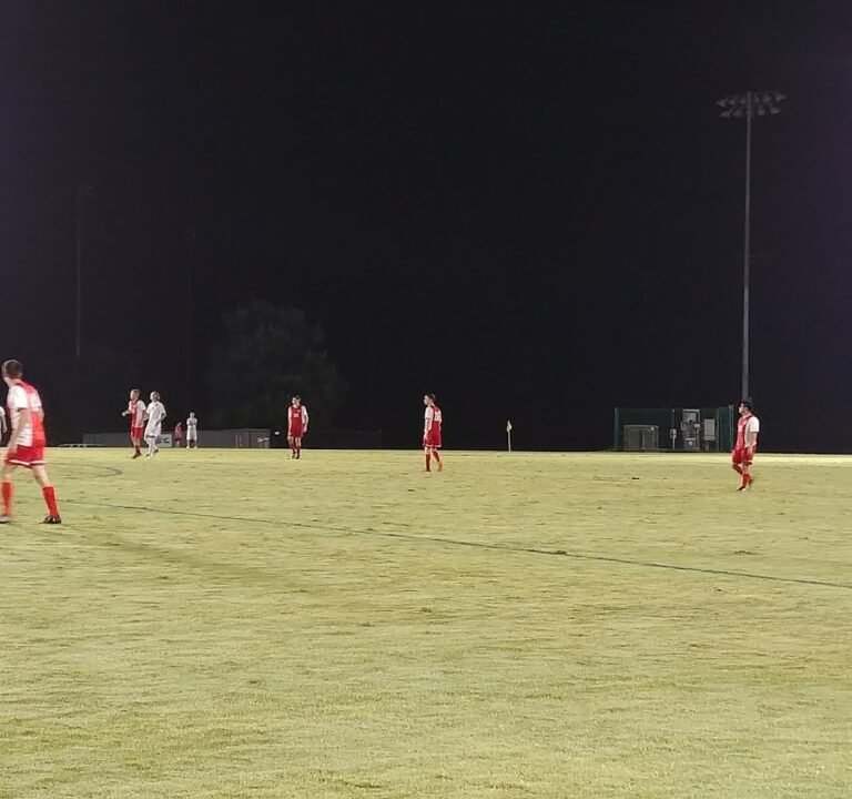 Soccer Field image 2