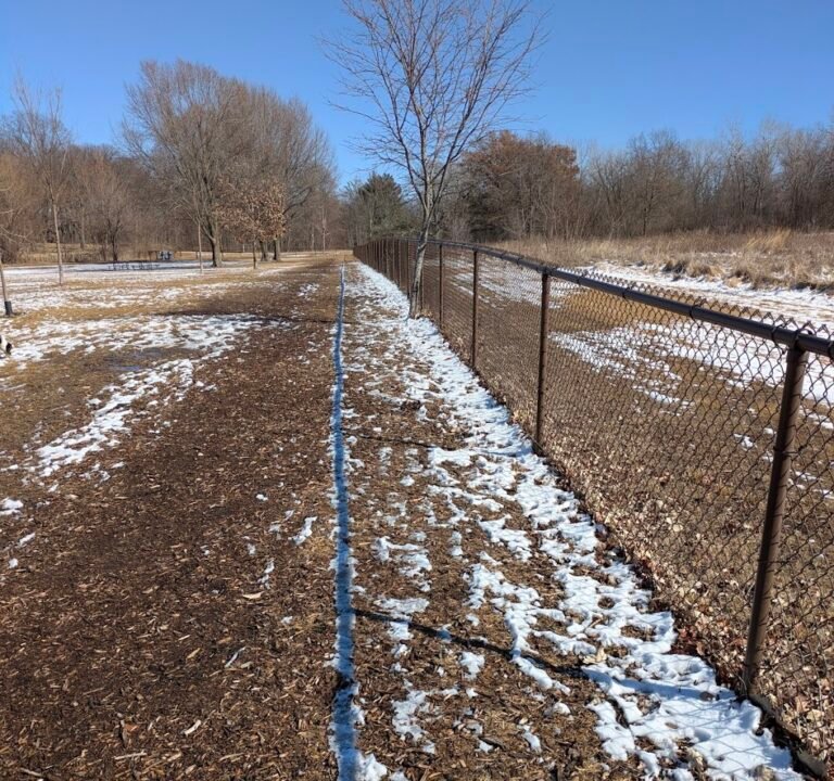 Soccer Field image 3