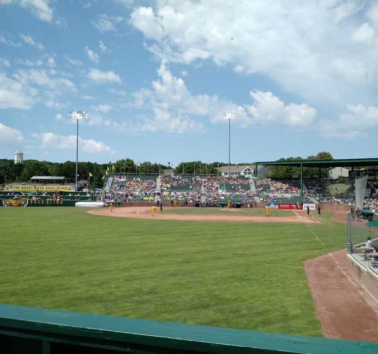 Soccer Field image 2