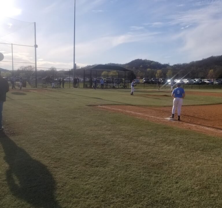 Soccer Field image 2