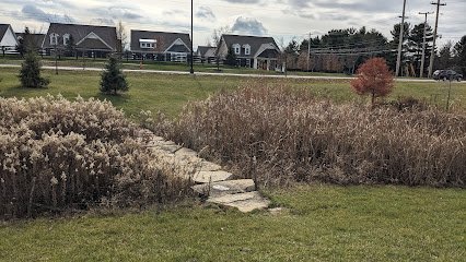 Soccer Field image 1
