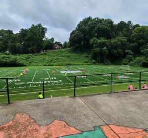 Soccer Field image 2