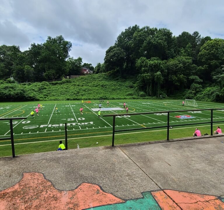 Soccer Field image 2