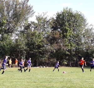 Soccer Field image 3