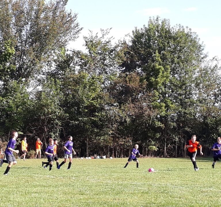 Soccer Field image 3