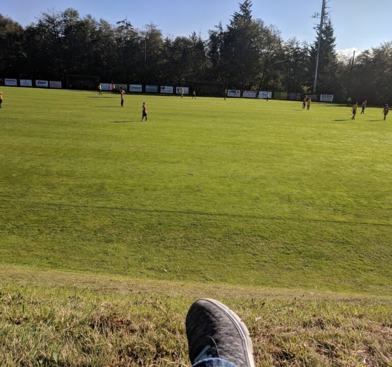 Soccer Field image 2