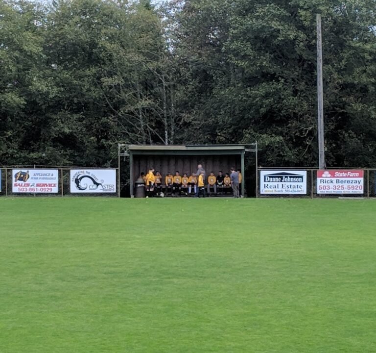 Soccer Field image 3