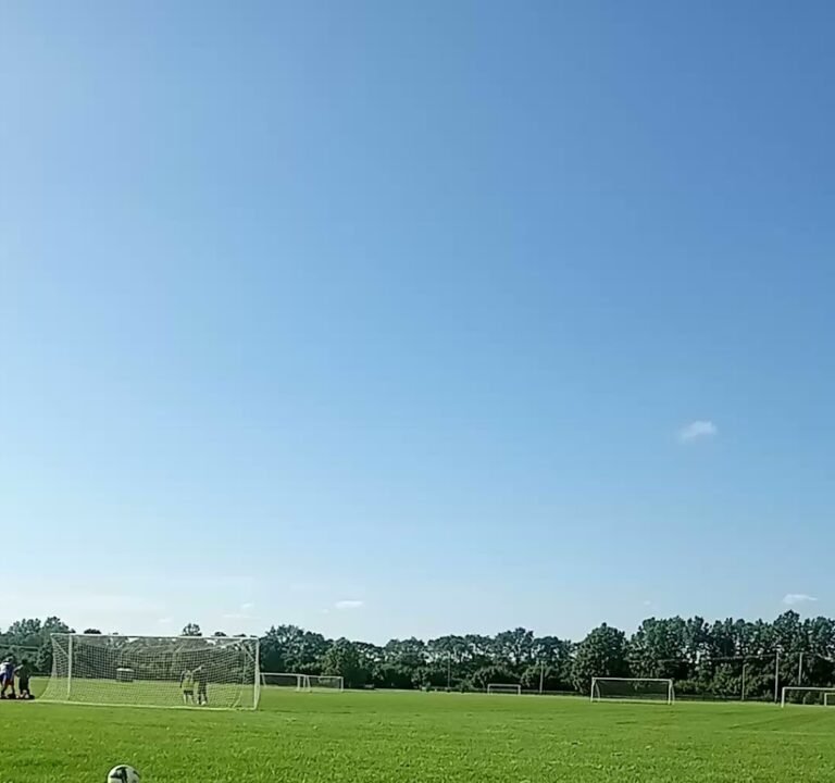 Soccer Field image 2