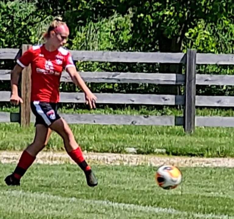 Soccer Field image 3