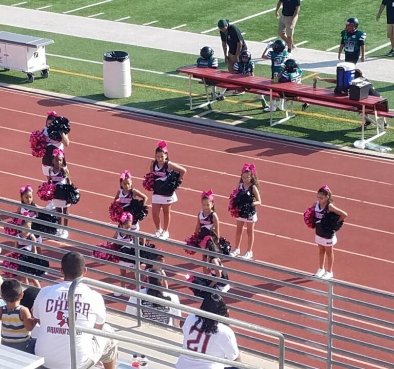 Soccer Field image 2