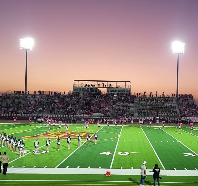 Soccer Field image 2