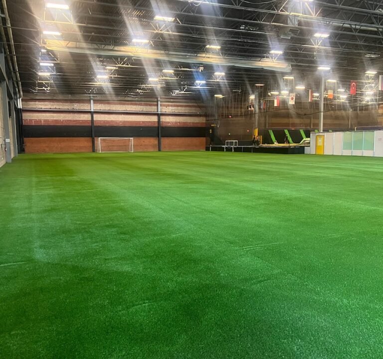 Soccer Field image 2