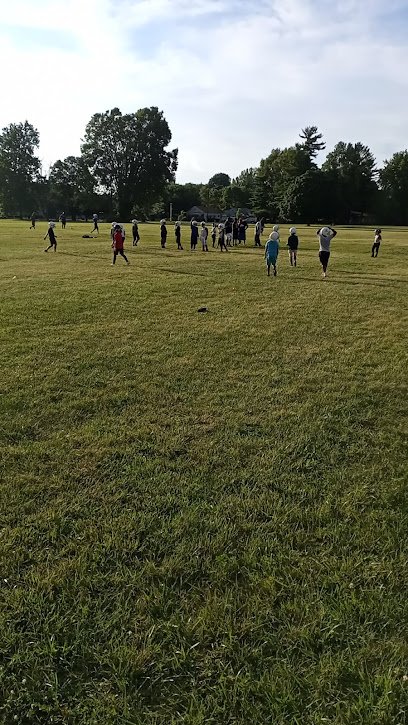 Soccer Field image 1