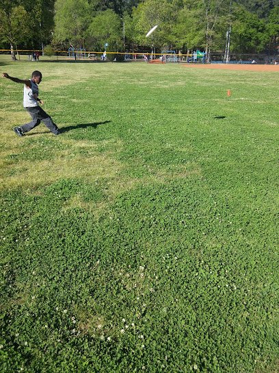 Soccer Field image 1