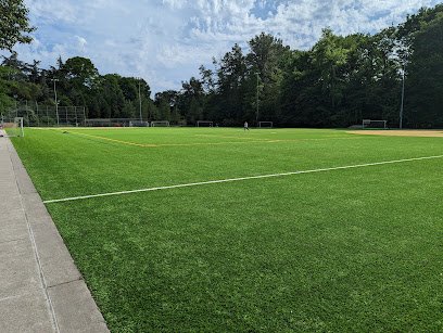 Soccer Field image 1