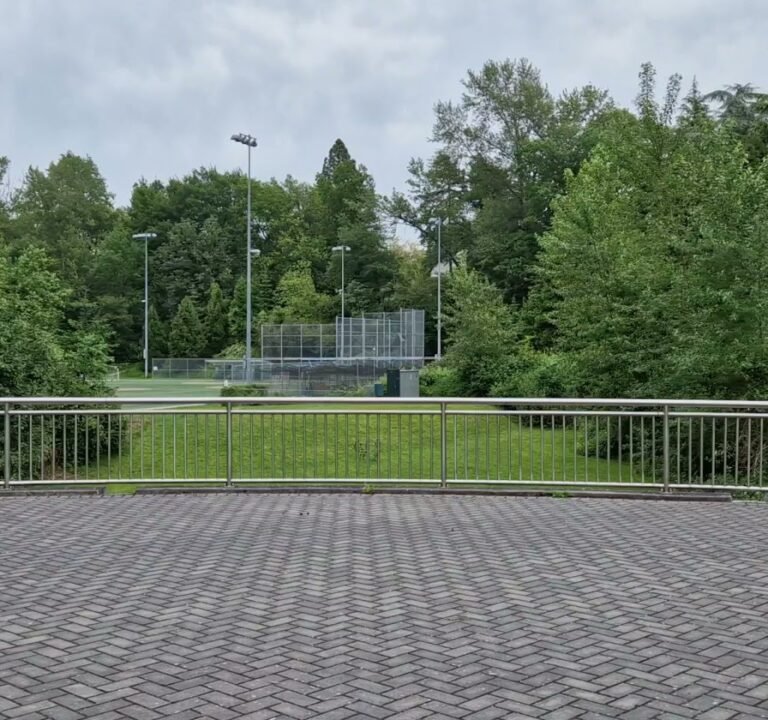 Soccer Field image 4