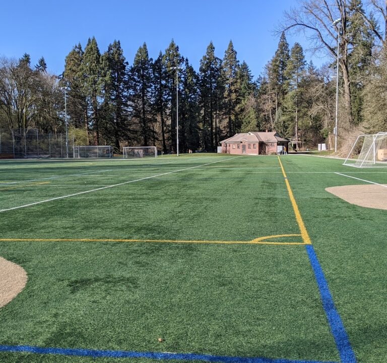 Soccer Field image 2