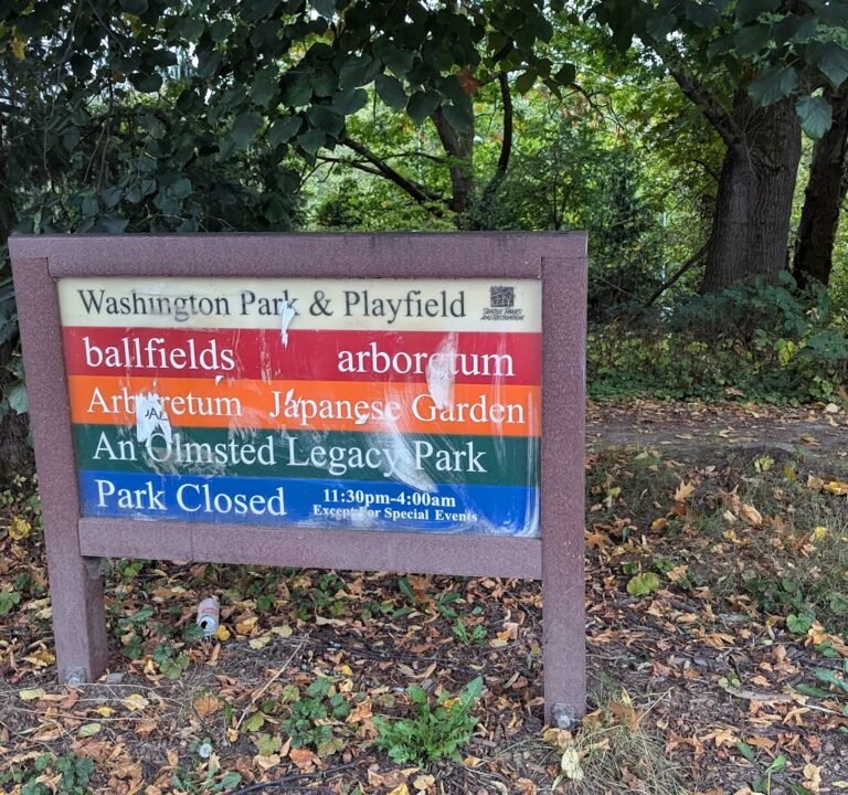 Soccer Field image 3