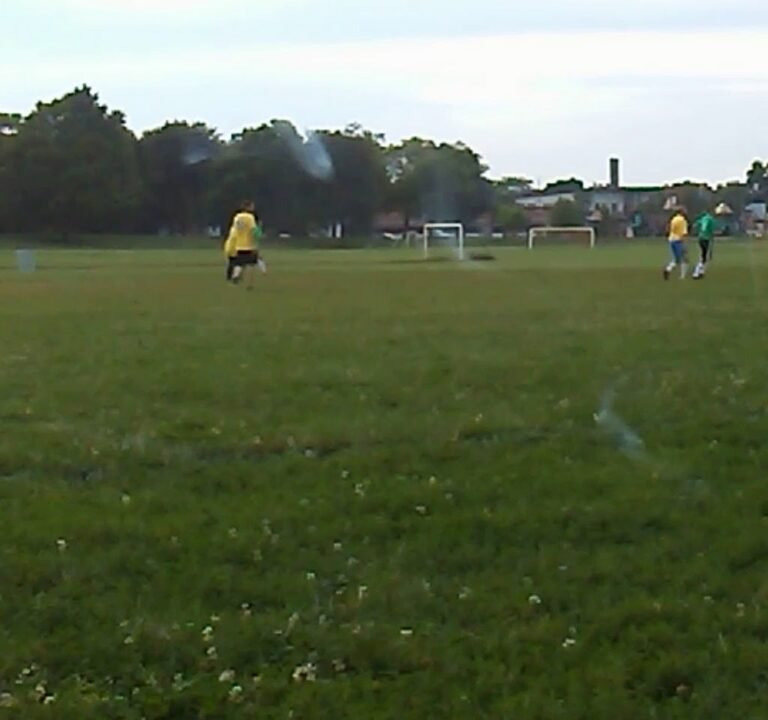 Soccer Field image 3