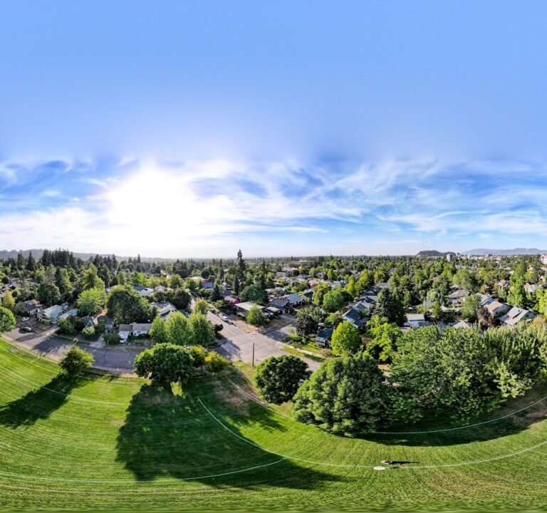 Soccer Field image 3
