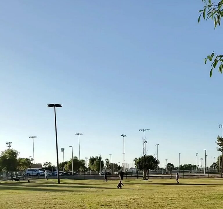 Soccer Field image 4