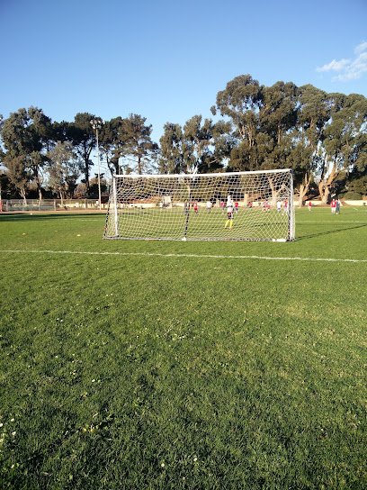 Soccer Field image 1