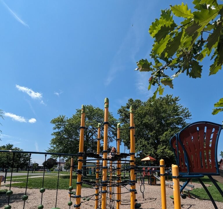 Soccer Field image 2