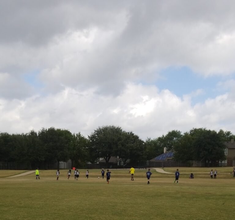 Soccer Field image 3