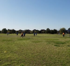 Soccer Field image 2