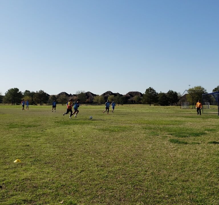 Soccer Field image 2