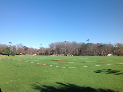 Soccer Field image 1